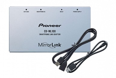 CD-ML100